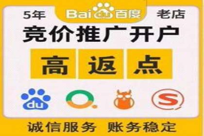 电子商务平台SEM托管的优化技巧